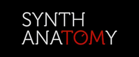 Synth Anatomy
